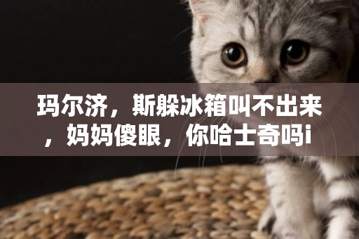瑪爾濟，斯躲冰箱叫不出來，媽媽傻眼，你哈士奇嗎i 