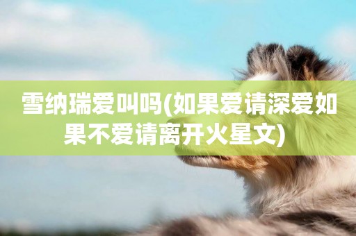 雪納瑞愛叫嗎(如果愛請深愛如果不愛請離開火星文) 