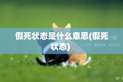 假死狀態是什么意思(假死狀態) 