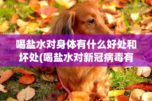 喝鹽水對身體有什么好處和壞處(喝鹽水對新冠病毒有沒有好處) 