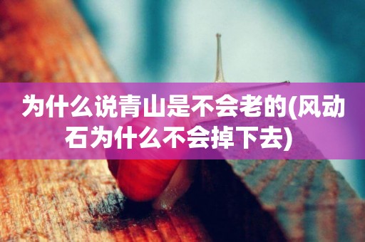 為什么說青山是不會老的(風動石為什么不會掉下去) 
