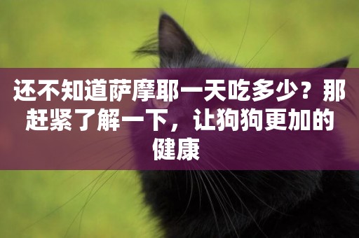 還不知道薩摩耶一天吃多少？那趕緊了解一下，讓狗狗更加的健康 