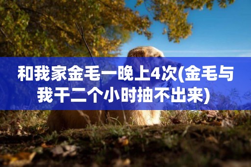 和我家金毛一晚上4次(金毛與我干二個小時抽不出來) 
