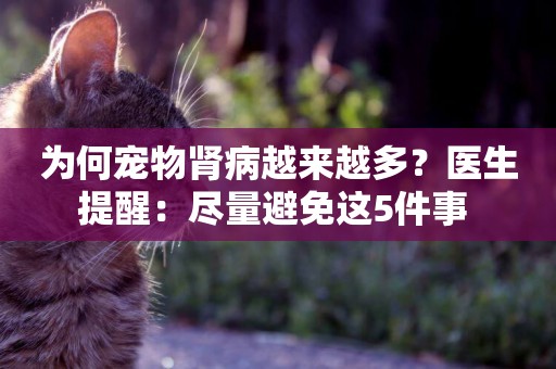 為何寵物腎病越來越多？醫生提醒：盡量避免這5件事 