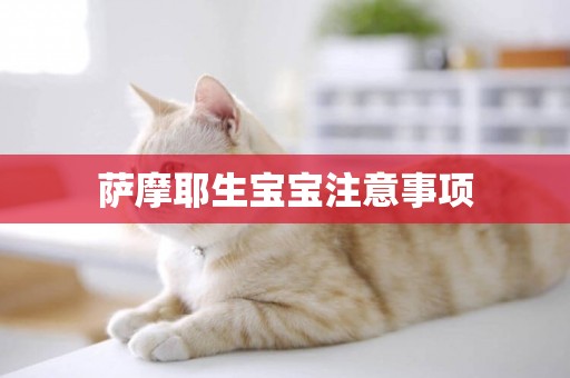 薩摩耶生寶寶注意事項