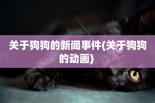 關于狗狗的新聞事件(關于狗狗的動畫) 