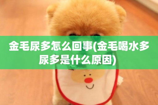 金毛尿多怎么回事(金毛喝水多尿多是什么原因) 