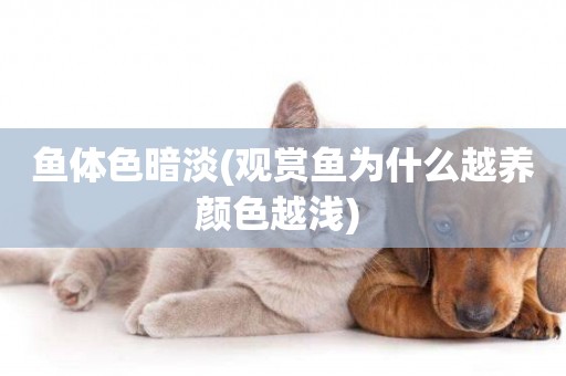 魚體色暗淡(觀賞魚為什么越養顏色越淺) 