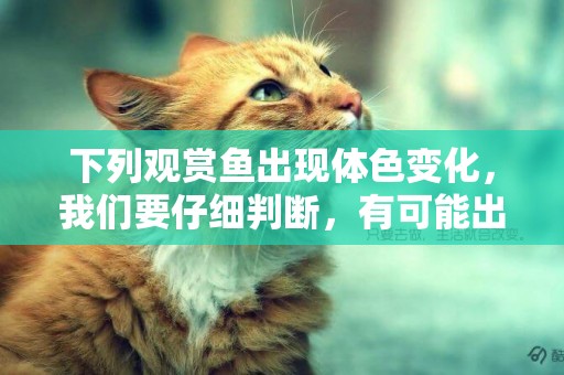 下列觀賞魚出現體色變化，我們要仔細判斷，有可能出現死魚現象 