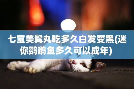 七寶美髯丸吃多久白發變黑(迷你鸚鵡魚多久可以成年) 