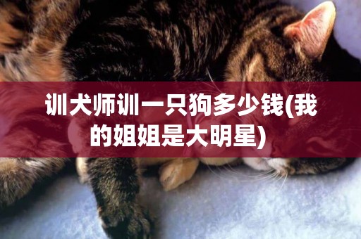 訓犬師訓一只狗多少錢(我的姐姐是大明星) 