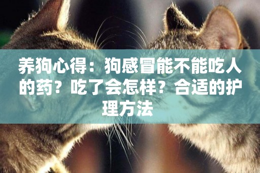 養狗心得：狗感冒能不能吃人的藥？吃了會怎樣？合適的護理方法 
