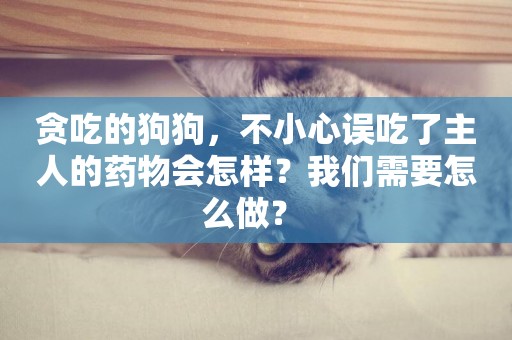 貪吃的狗狗，不小心誤吃了主人的藥物會怎樣？我們需要怎么做？ 