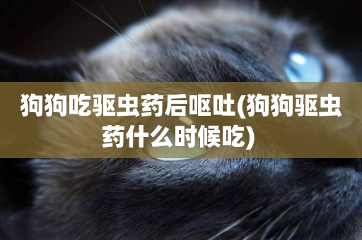狗狗吃驅蟲藥后嘔吐(狗狗驅蟲藥什么時候吃) 
