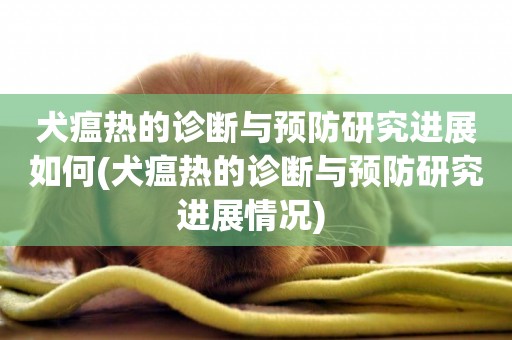 犬瘟熱的診斷與預防研究進展如何(犬瘟熱的診斷與預防研究進展情況) 