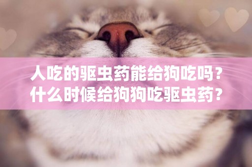 人吃的驅蟲藥能給狗吃嗎？什么時候給狗狗吃驅蟲藥？ 