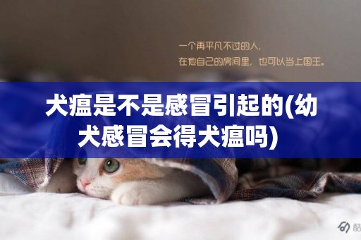 犬瘟是不是感冒引起的(幼犬感冒會得犬瘟嗎) 