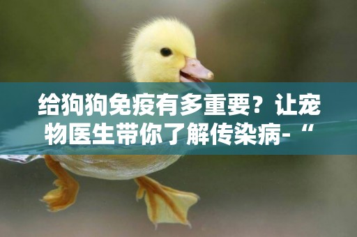 給狗狗免疫有多重要？讓寵物醫生帶你了解傳染病-“犬瘟熱” 