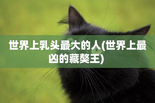 世界上乳頭最大的人(世界上最兇的藏獒王) 