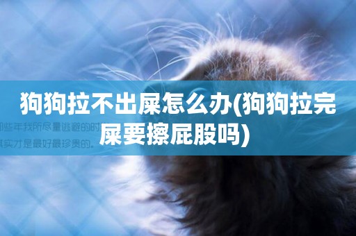 狗狗拉不出屎怎么辦(狗狗拉完屎要擦屁股嗎) 