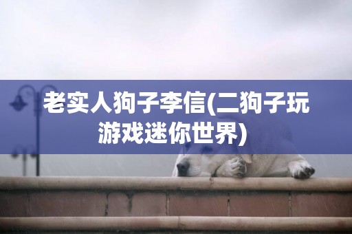 老實人狗子李信(二狗子玩游戲迷你世界) 