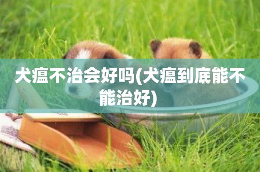 犬瘟不治會好嗎(犬瘟到底能不能治好) 