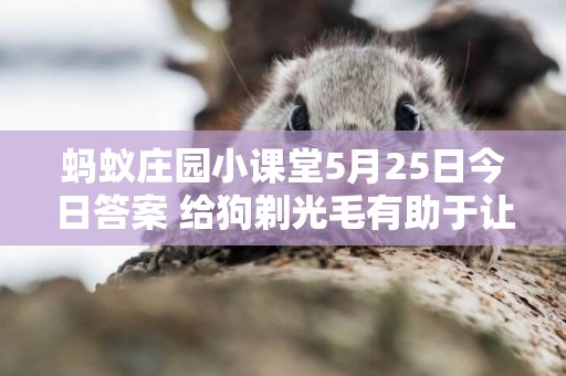 螞蟻莊園小課堂5月25日今日答案 給狗剃光毛有助于讓狗降溫嗎 
