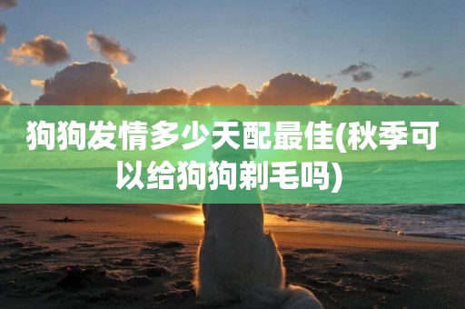 狗狗發情多少天配最佳(秋季可以給狗狗剃毛嗎) 