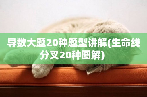 導數大題20種題型講解(生命線分叉20種圖解) 