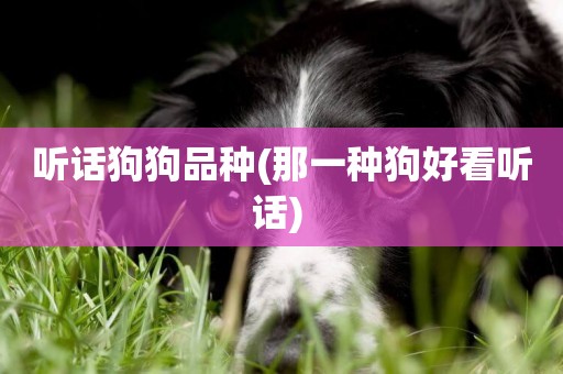 聽話狗狗品種(那一種狗好看聽話) 