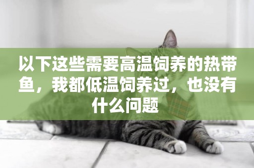 以下這些需要高溫飼養的熱帶魚，我都低溫飼養過，也沒有什么問題 