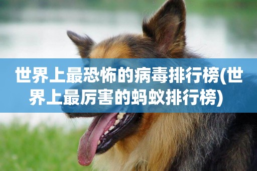 世界上最恐怖的病毒排行榜(世界上最厲害的螞蟻排行榜) 