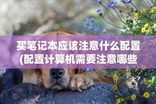 買筆記本應該注意什么配置(配置計算機需要注意哪些事項?) 
