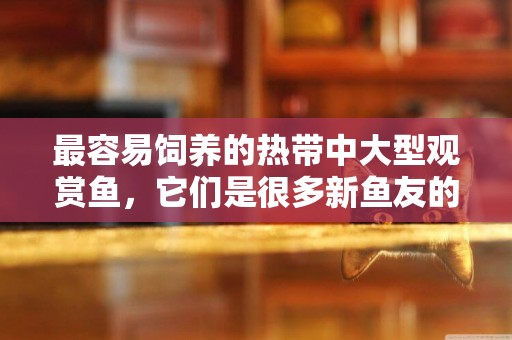 最容易飼養的熱帶中大型觀賞魚，它們是很多新魚友的首選老三樣 
