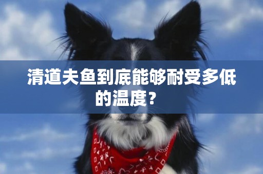 清道夫魚到底能夠耐受多低的溫度？ 