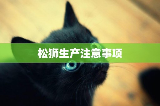 松獅生產注意事項