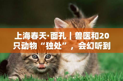上海春天·面孔｜獸醫和20只動物“獨處”，會幻聽到求助電話 