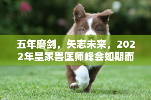 五年磨劍，矢志未來，2022年皇家獸醫師峰會如期而至 