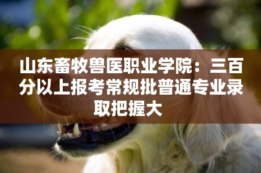 山東畜牧獸醫職業學院：三百分以上報考常規批普通專業錄取把握大 