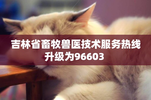 吉林省畜牧獸醫技術服務熱線升級為96603 