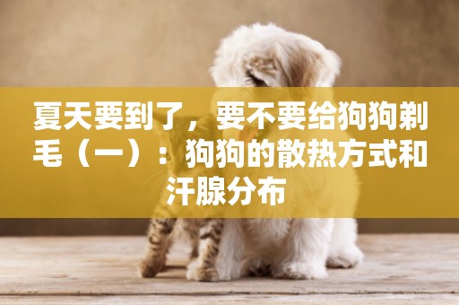 夏天要到了，要不要給狗狗剃毛（一）：狗狗的散熱方式和汗腺分布 