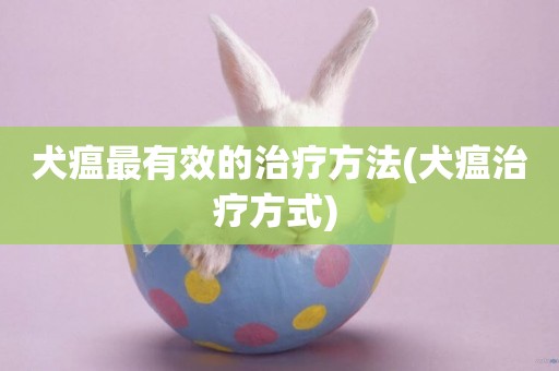 犬瘟最有效的治療方法(犬瘟治療方式) 