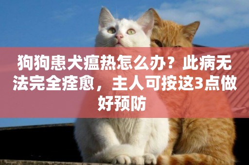 狗狗患犬瘟熱怎么辦？此病無法完全痊愈，主人可按這3點做好預防 
