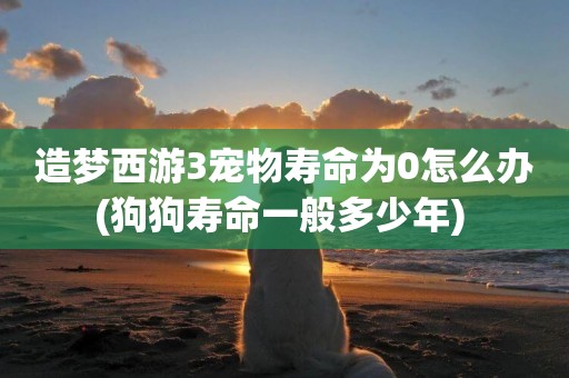 造夢西游3寵物壽命為0怎么辦(狗狗壽命一般多少年) 