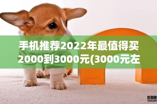 手機推薦2022年最值得買2000到3000元(3000元左右性價比高的手機排行榜) 