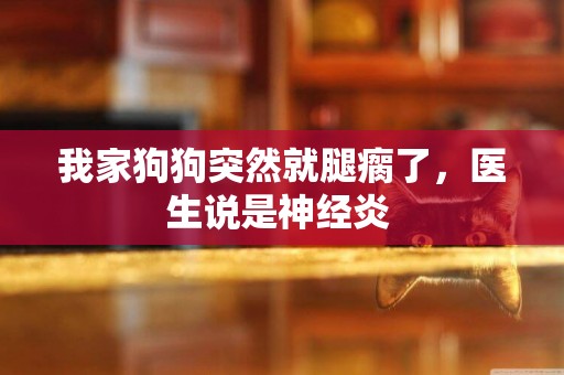 我家狗狗突然就腿瘸了，醫生說是神經炎 