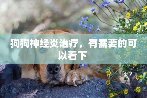 狗狗神經炎治療，有需要的可以看下 