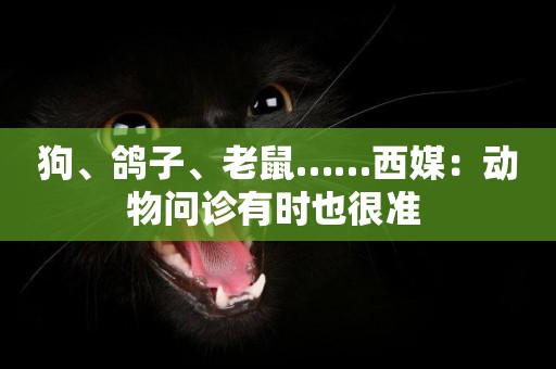 狗、鴿子、老鼠……西媒：動物問診有時也很準 