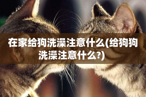 在家給狗洗澡注意什么(給狗狗洗澡注意什么?) 