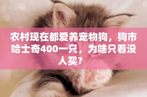 農村現在都愛養寵物狗，狗市哈士奇400一只，為啥只看沒人買？ 